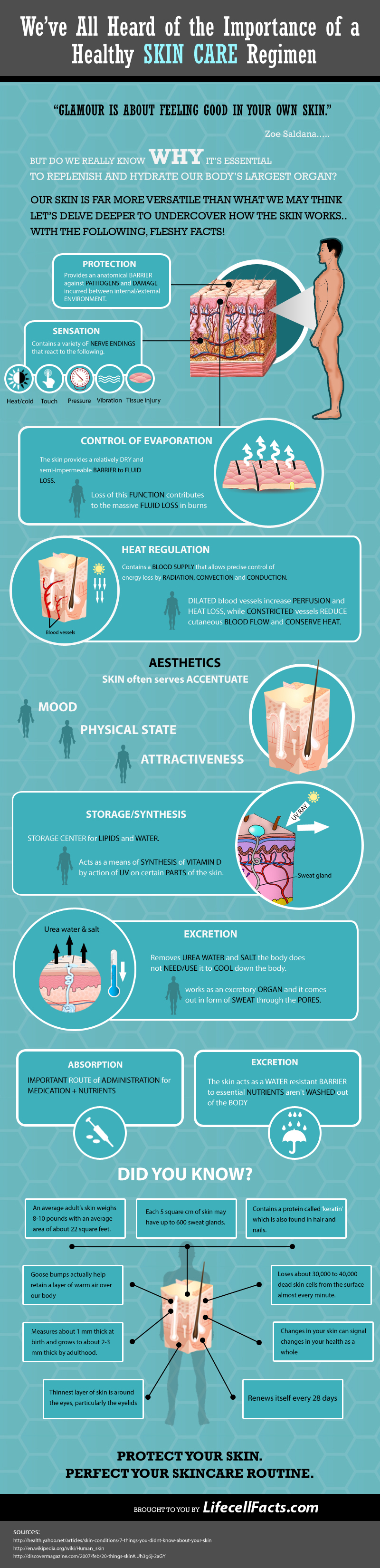 Healthy Skin Care Regimen Dermatology Physicians Of Connecticut